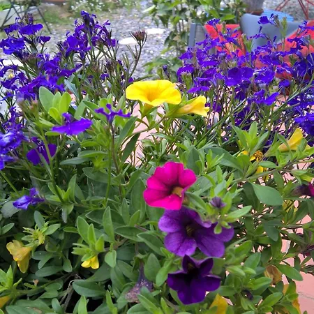 بيت للعطل De Charme 3* Saint-Esteben