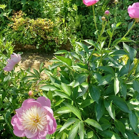 De Charme 3* بيت للعطل