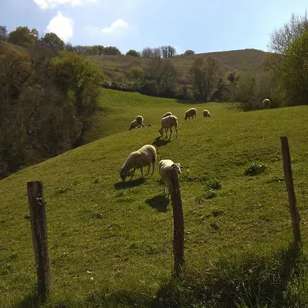 Дом отдыха De Charme 3* Saint-Esteben