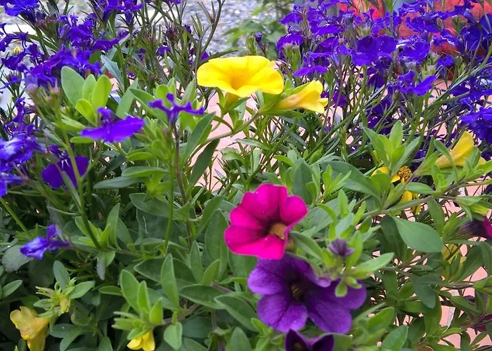 Vakantiehuis De Charme 3* Saint-Esteben