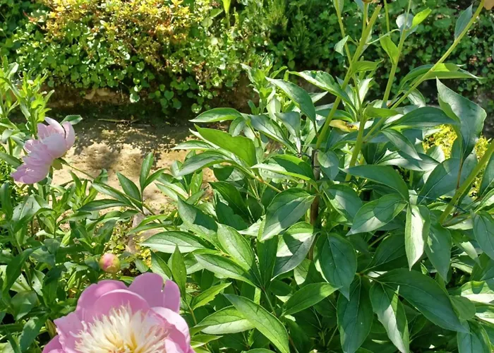 De Charme 3* Prázdninový dům