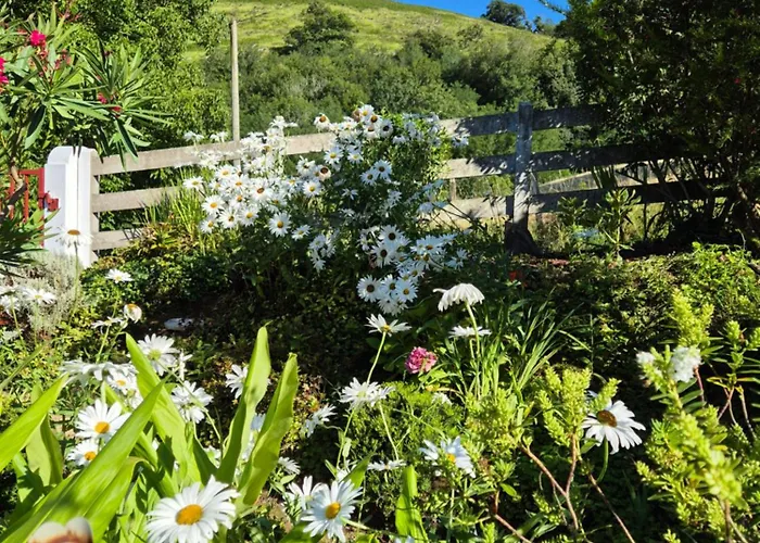 De Charme 3* Prázdninový dům *