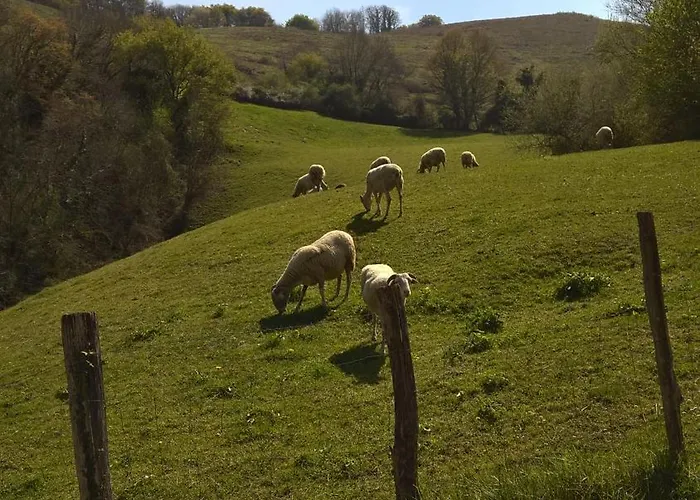 Vakantiehuis De Charme 3* Saint-Esteben