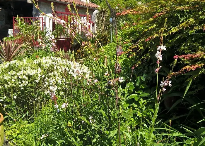 Prázdninový dům De Charme 3*